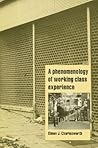 A Phenomenology of Working-Class Experience (Cambridge Cultural Social Studies)