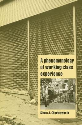 A Phenomenology of Working-Class Experience (Cambridge Cultural Social Studies)