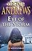 Eye of the Storm (Hudson, #3)