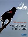 Neuroscience of B...