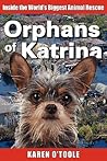 Orphans of Katrin...