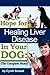 Hope For Healing Liver Disease In Your Dog: The Complete Story