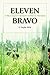 Eleven Bravo: A Skytrooper's Memoir of War in Vietnam
