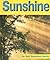 Sunshine (Rise and Shine)