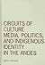 Circuits of Culture: Media, Politics, and Indigenous Identity in the Andes (Volume 20) (Visible Evidence)