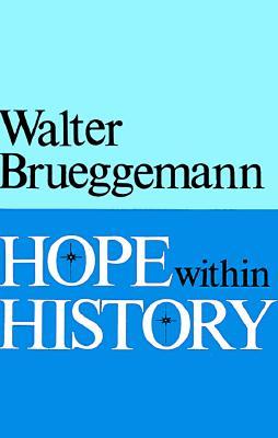 Hope within History (Paperback)