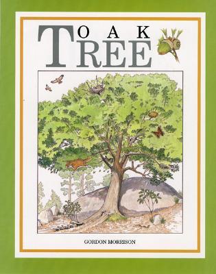 Oak Tree (Paperback)