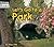 Let's Go to a Park (Welcome Books)