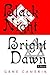 Black Night Bright Dawn