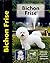 Bichon Frise