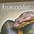Anacondas (First Facts: Snakes)