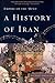 A History of Iran: Empire of the Mind