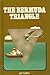 The Bermuda Triangle