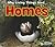 Homes (Acorn: Why Do Living Things Need)
