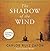 The Shadow Off the Wind by Carlos Ruiz Zafón The Shadow Off the Wind by Carlos Ruiz Zafón
