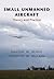 Small Unmanned Aircraft: Theory and Practice