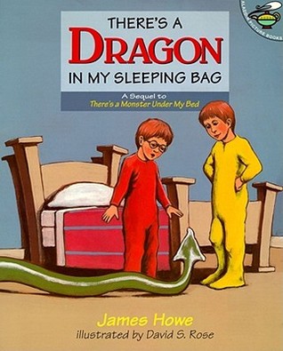 There's a Dragon in My Sleeping Bag (Paperback)