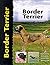 Border Terrier