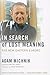 In Search of Lost Meaning: ...