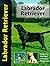 Labrador Retriever (Pet Love)
