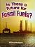 Is There a Future for Fossi...