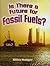 Is There a Future for Fossil Fuels? (Energy Revolution)