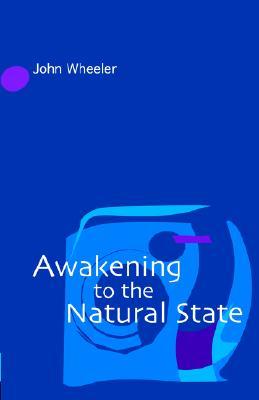 Awakening to the Natural State (Paperback)