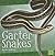 Garter Snakes (First Facts: Snakes)