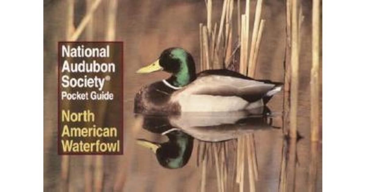 National Audubon Society Pocket Guide to Waterfowl by National Audubon