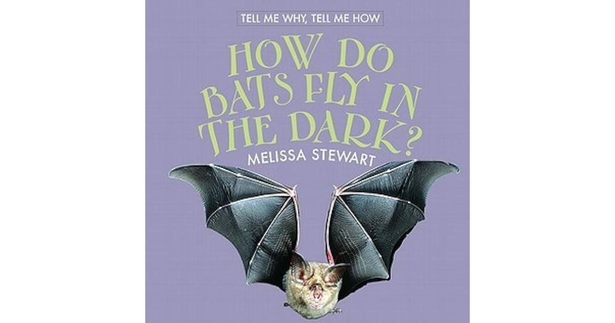 How Do Bats Fly in the Dark? by Melissa Stewart