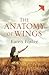 Anatomy of Wings