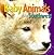 Baby Animals of the Southwest by Rising Moon (EDT) Theresa H...