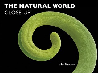 The Natural World Close-Up (Hardcover)