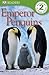 Emperor Penguins by Deborah Lock