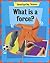 What Is a Force? (Investigating Science)