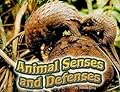 Animal Senses and Defenses
