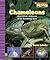 Chameleons And Other Animal...