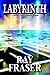 Labyrinth: A Maze of Metaphysical Mysteries