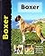 Boxer (Pet Love)