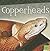 Copperheads (First Facts: Snakes)