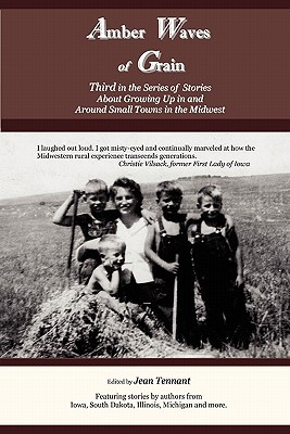 Amber Waves of Grain: Third in the Series of Stories About Growing Up in and Around Small Towns in the Midwest (Paperback)