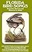 Florida Bird Songs