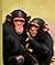 Chimpanzees (The World of Mammals)