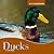 Ducks