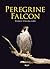 Peregrine Falcon