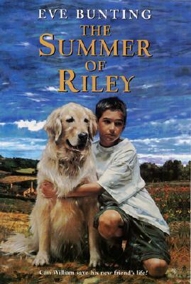 The Summer of Riley (Paperback)
