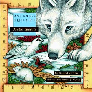 Arctic Tundra (Paperback)