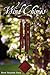 Wind Chimes
