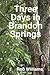Three Days in Brandon Springs by Rob  Williams