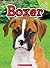 Boxer